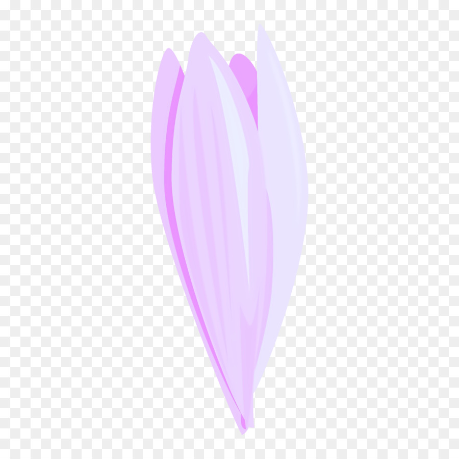 Rosa，Pluma PNG