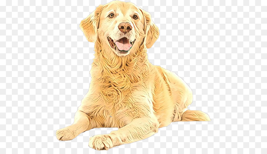 Perro，Raza De Perro PNG