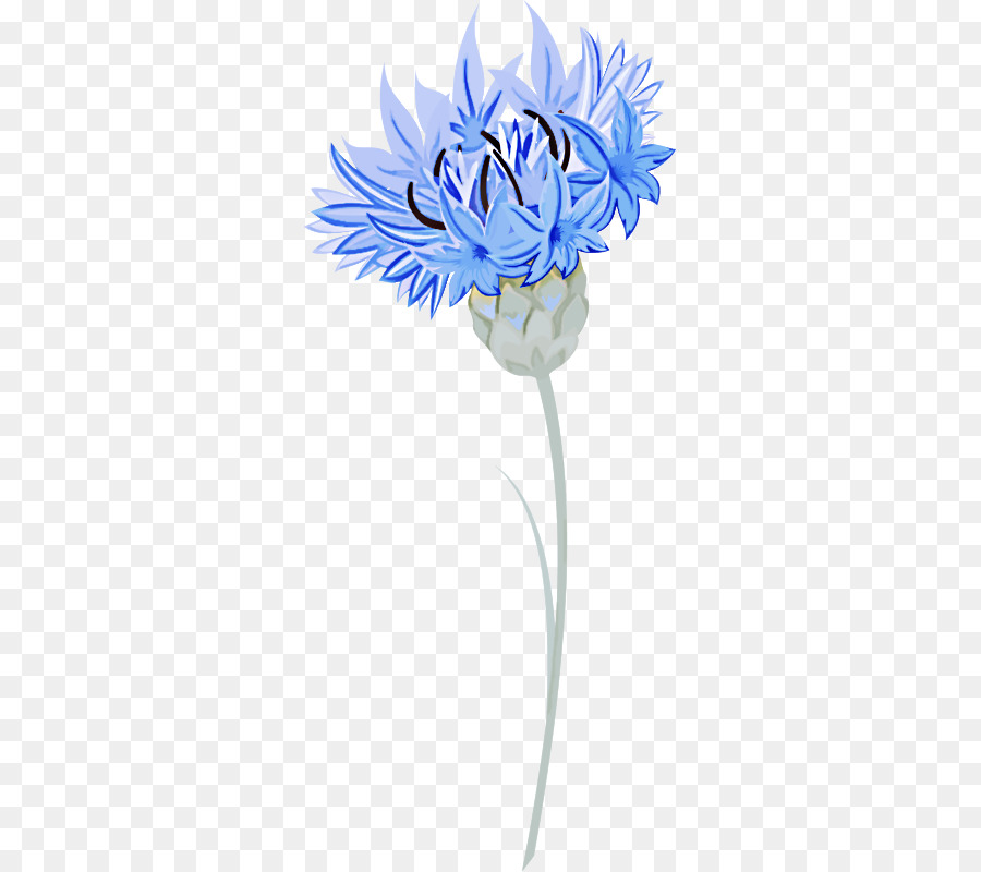 Aciano Azul，Florecimiento De Maíz PNG