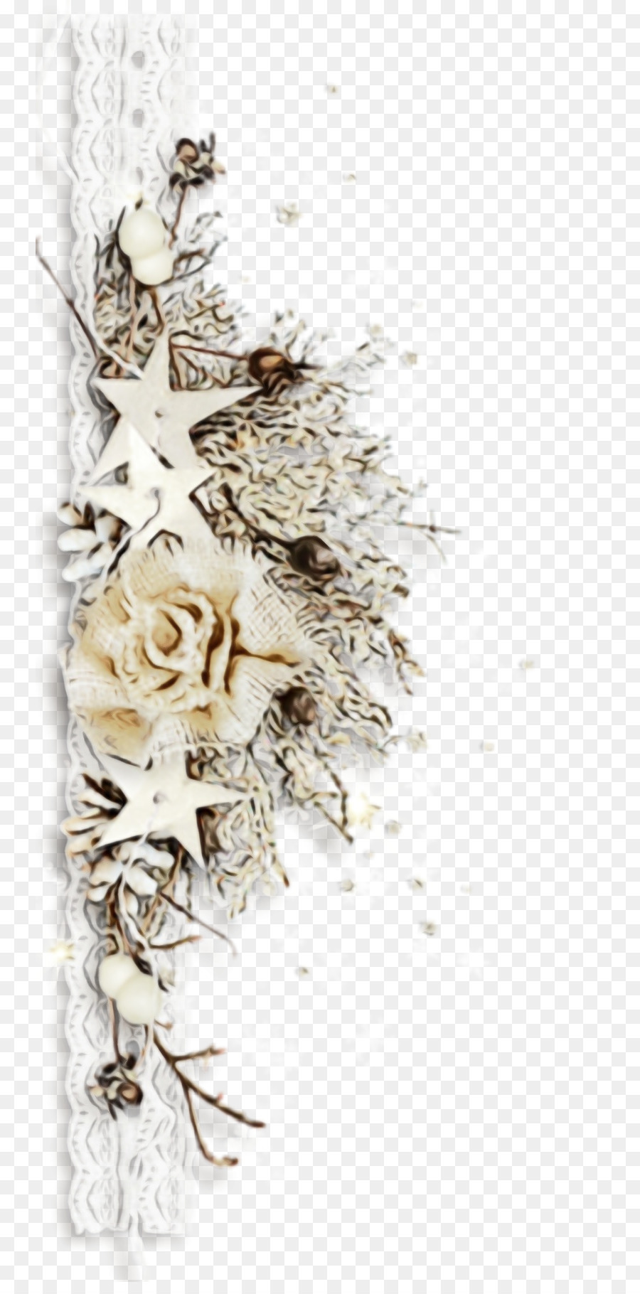 Decoración Floral，Blanco PNG