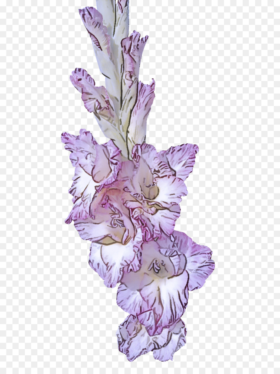 Flor，La Floración De La Planta PNG