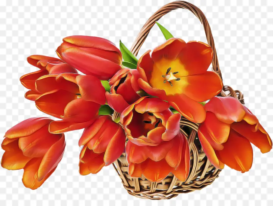 Flor，Naranja PNG