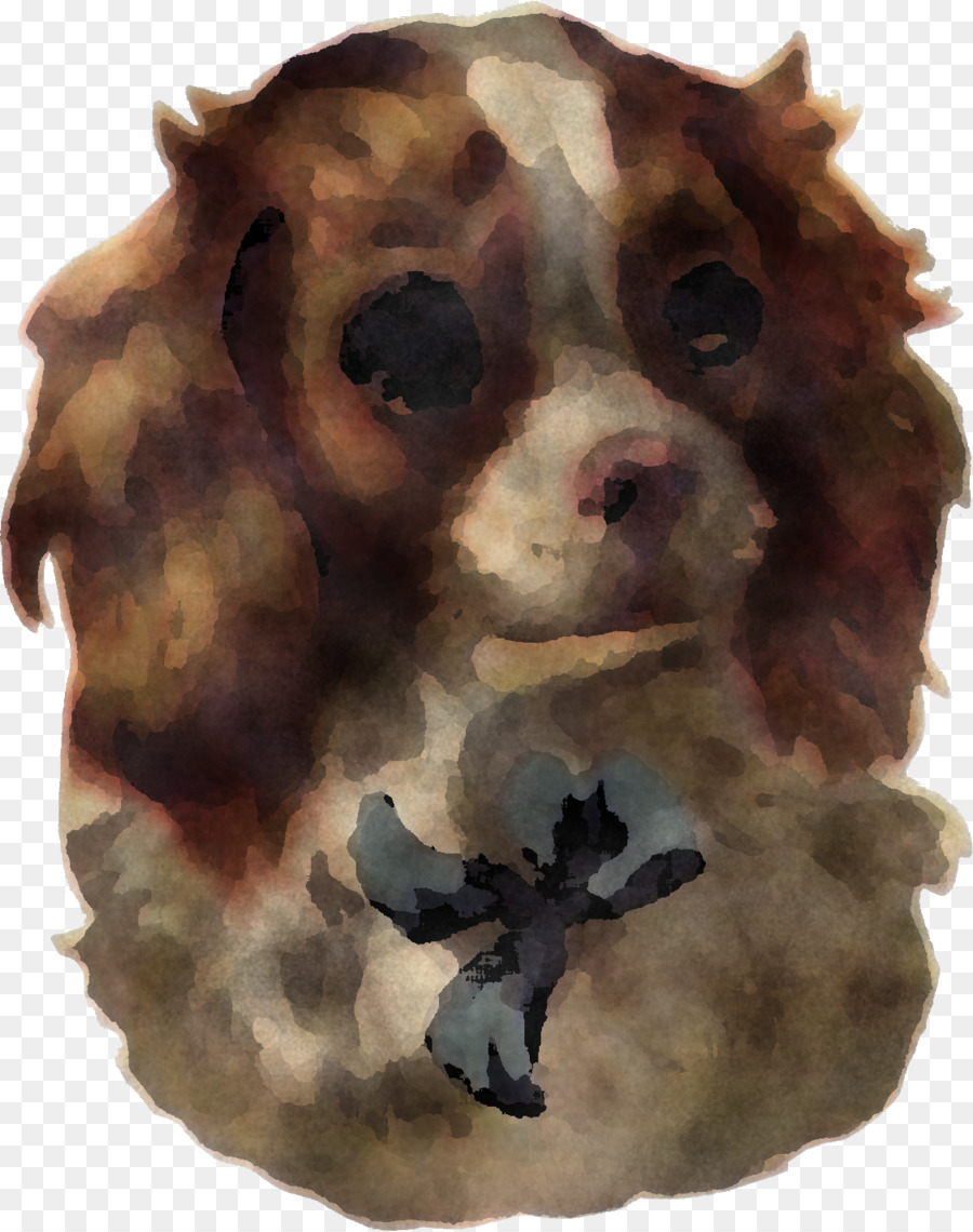 Perro，Cocker Spaniel PNG