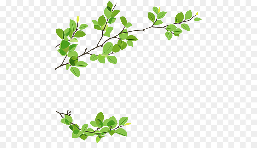 Hoja，Planta PNG