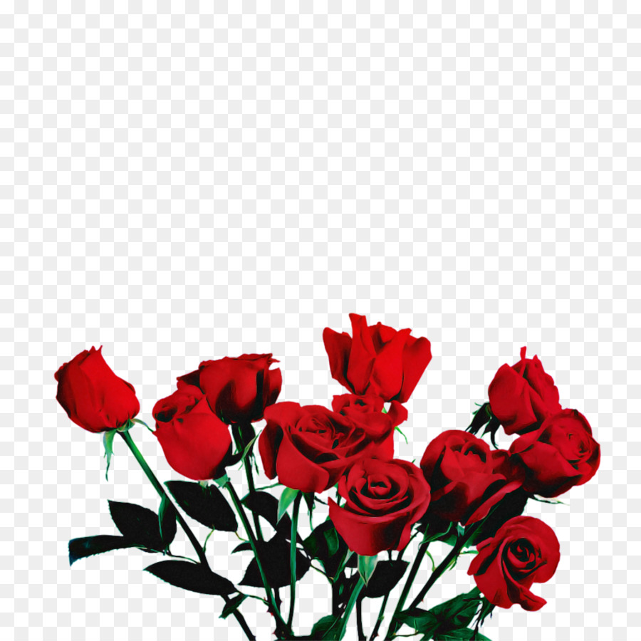 Rosas Rojas Y Blancas，Ramo PNG