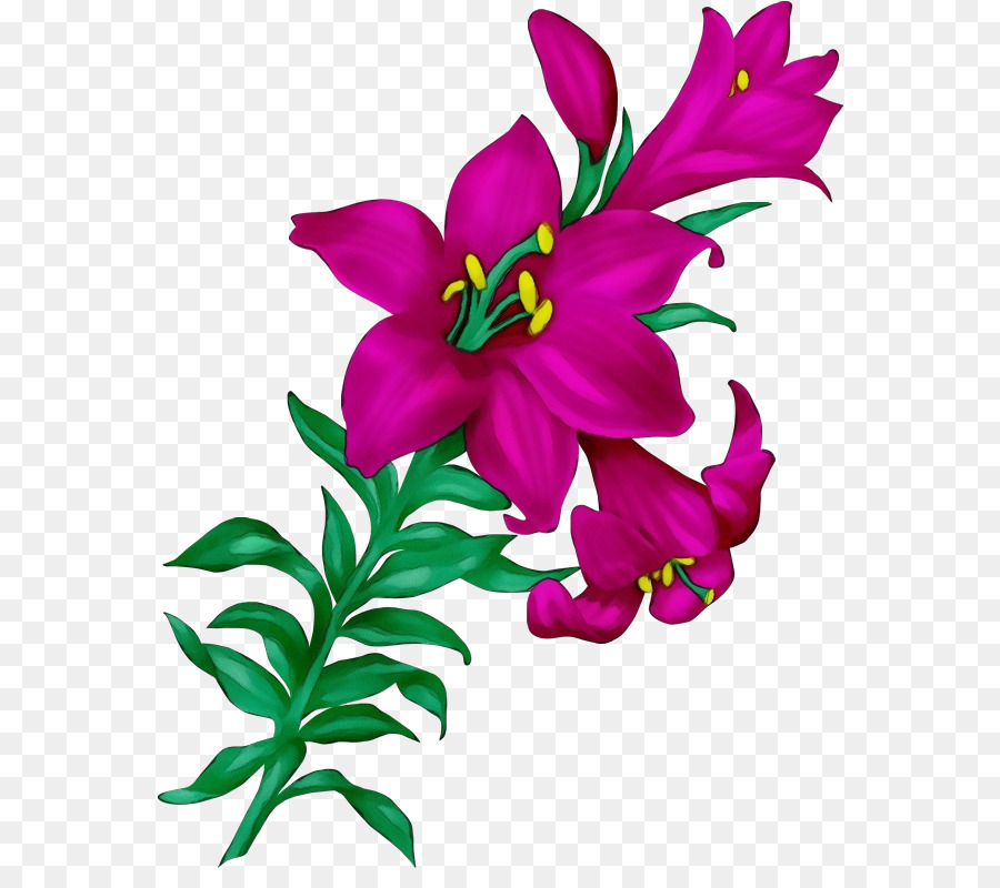 Flor，La Floración De La Planta PNG