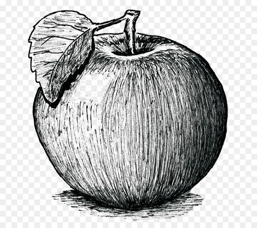 Manzana，Hoja PNG