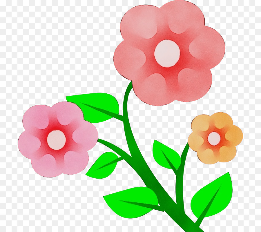 Rosa，Flor PNG