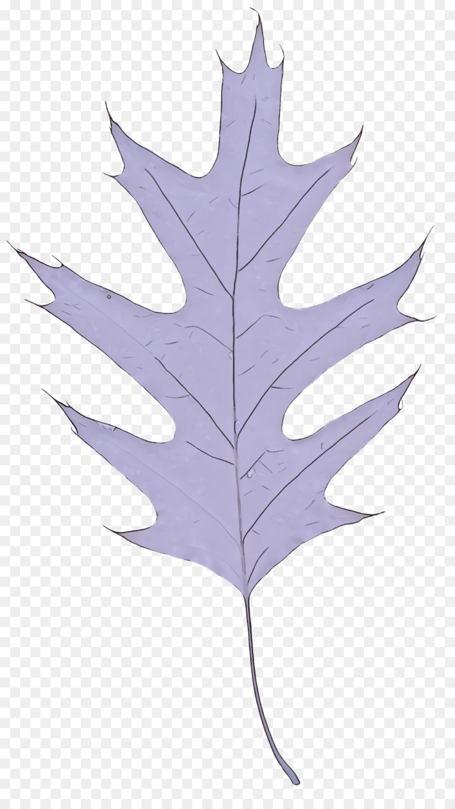 Hoja，Árbol PNG