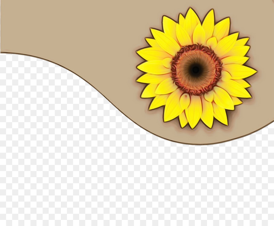 Girasol，Amarillo PNG