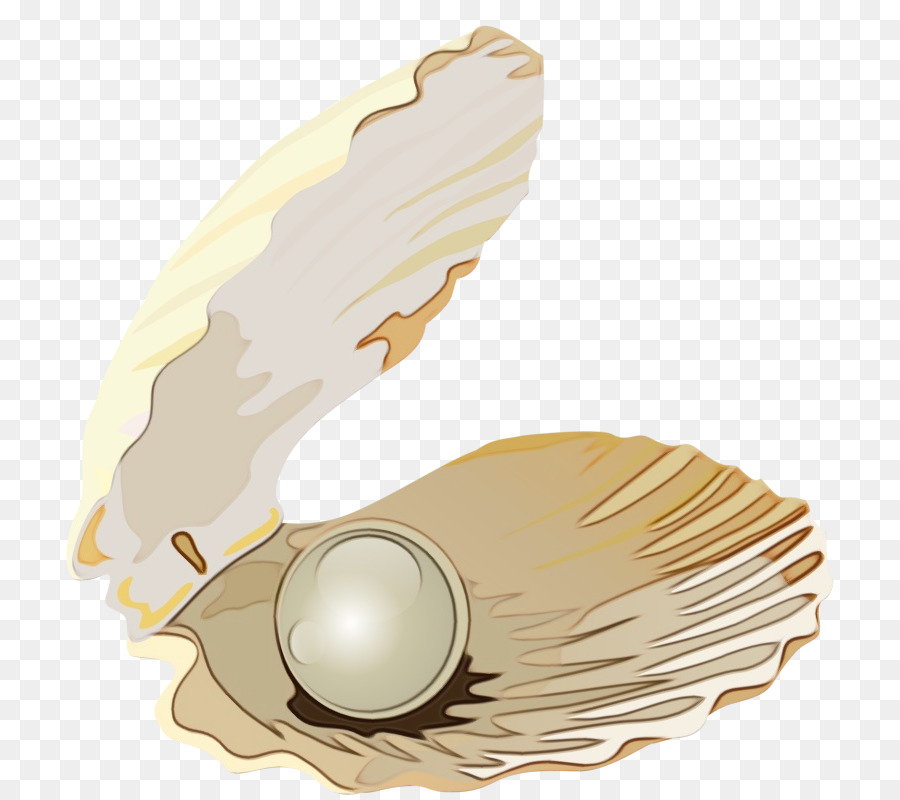 Pluma，Beige PNG