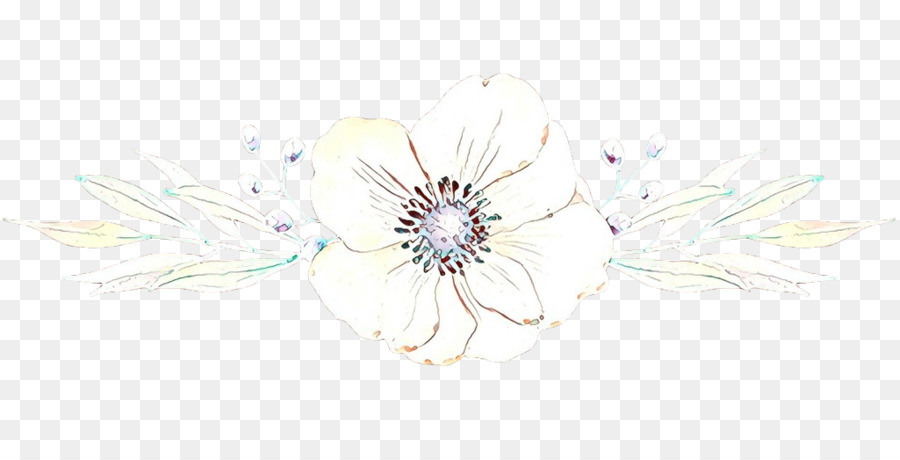 Blanco，Flor PNG