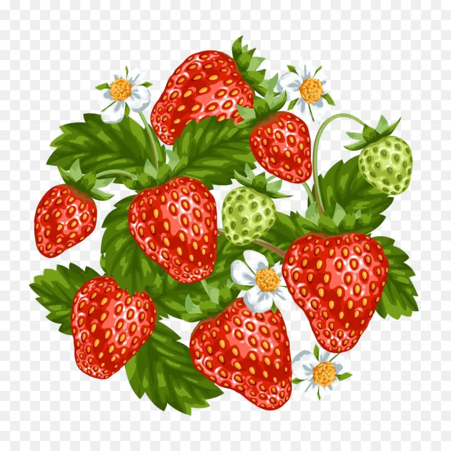 Fresas，Hojas PNG