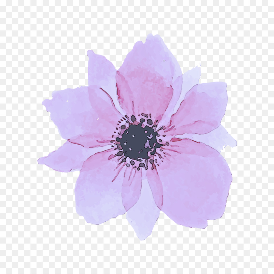 Flor Azul，Soltero PNG