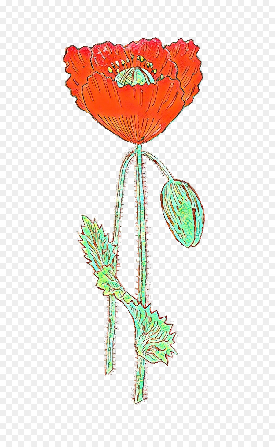 Flor，Planta PNG