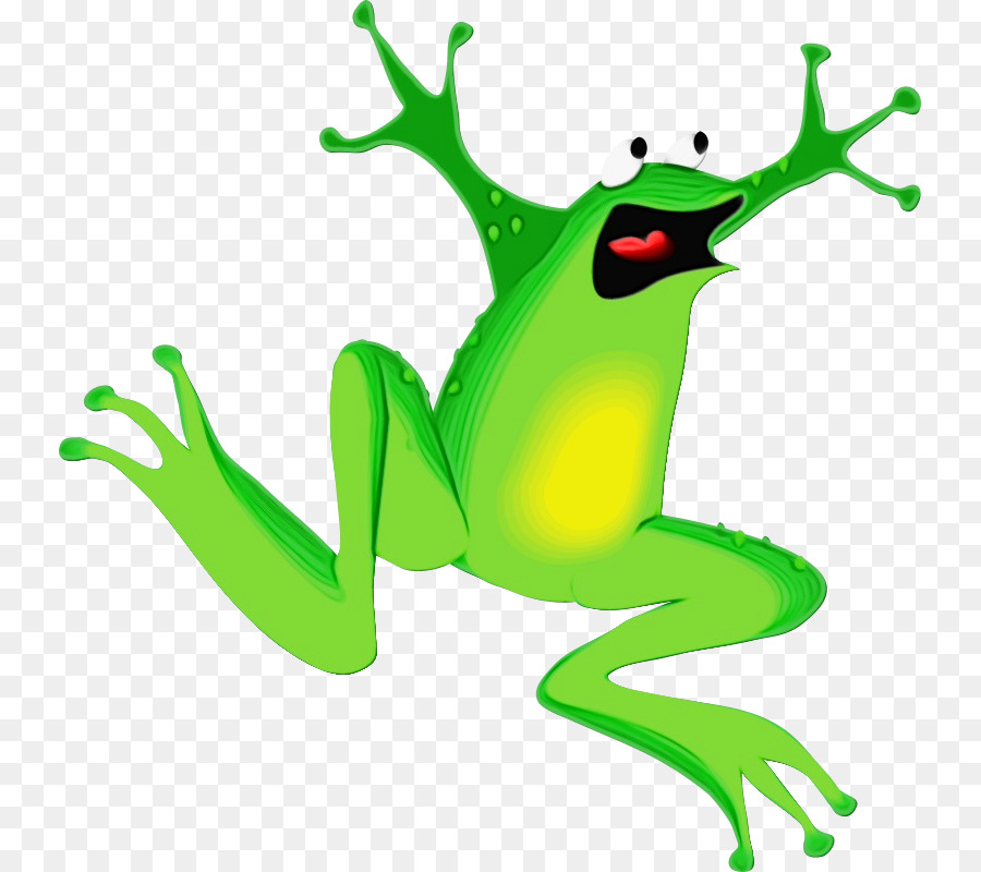 Agalychnis，Rana De árbol PNG