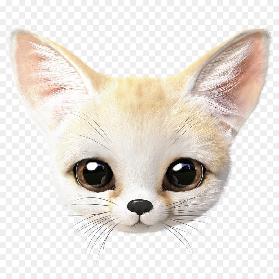 Gato，Bigotes PNG