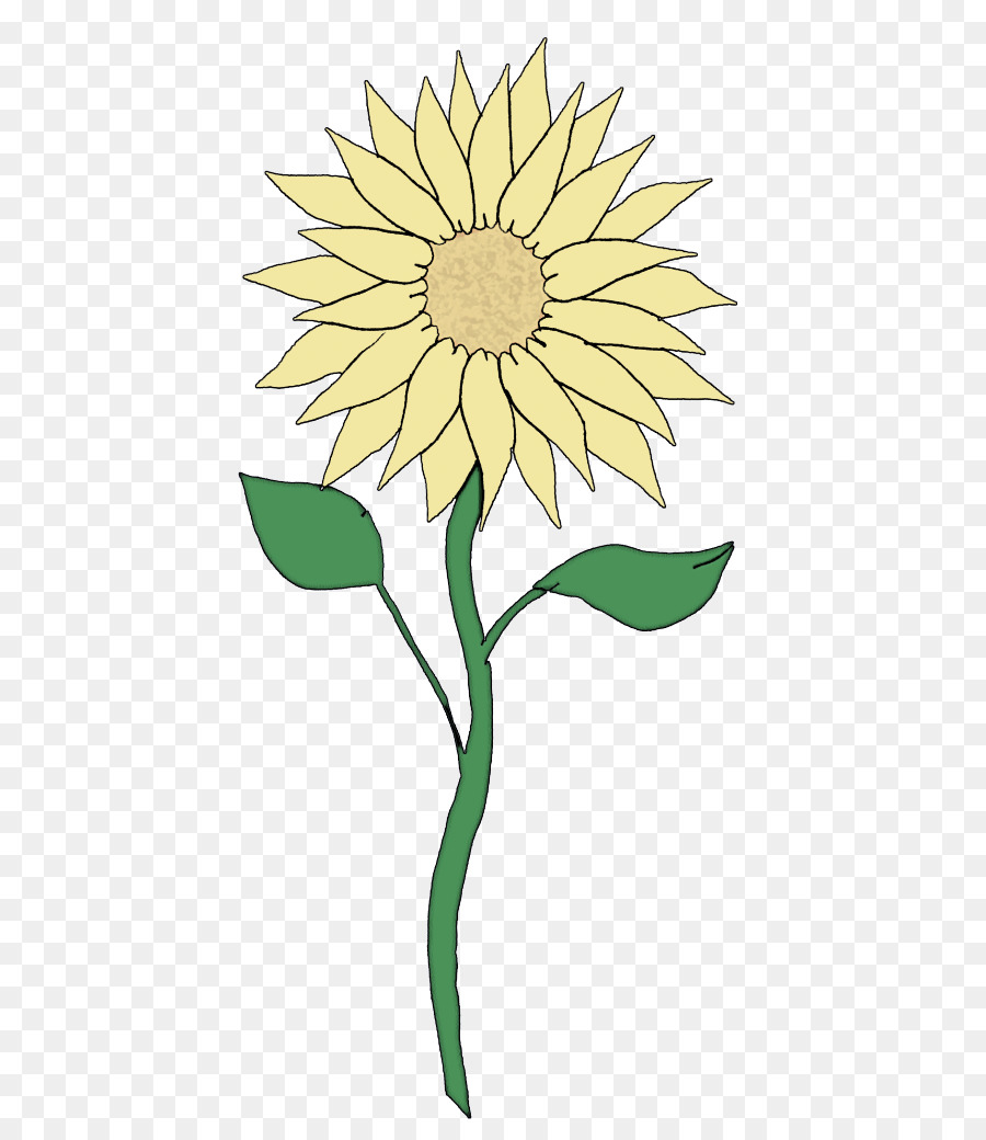 Flor，Girasol PNG