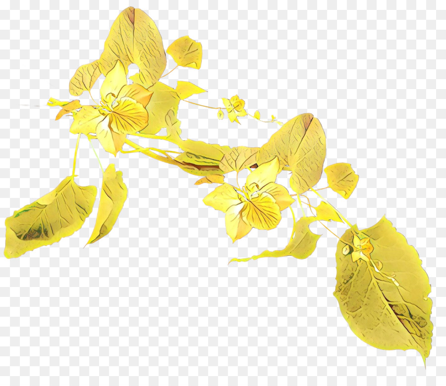 Amarillo，Flor PNG