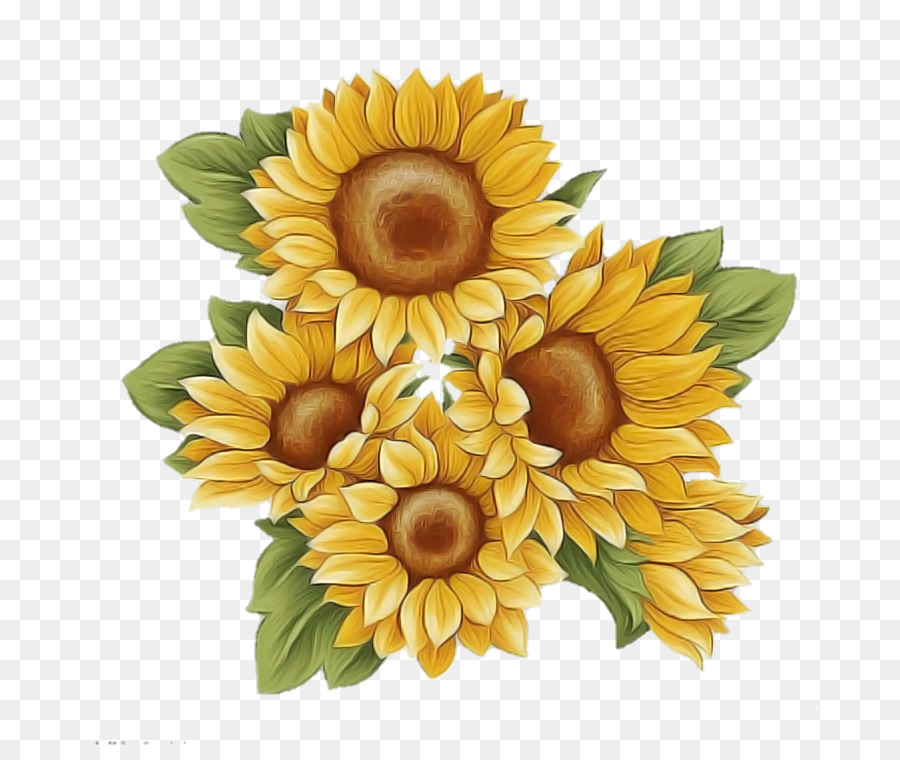 Girasoles，Naturaleza PNG