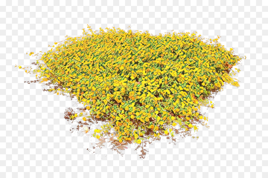 Amarillo，Planta PNG