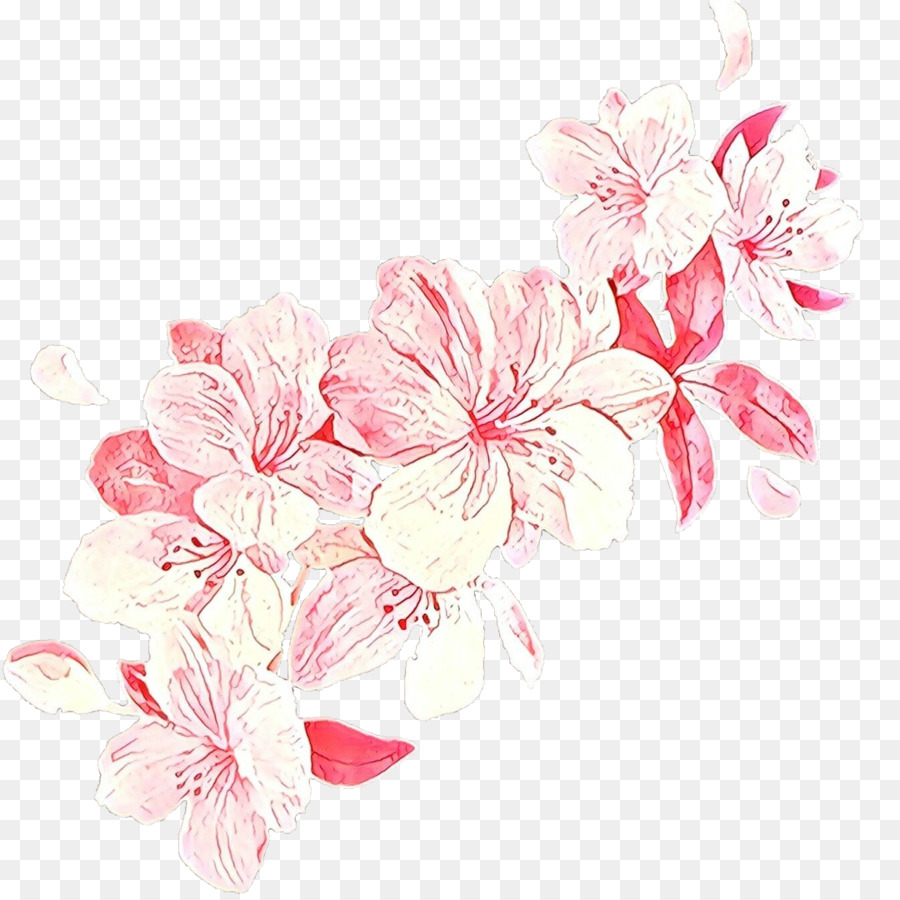 Flores Rosadas，Florecer PNG