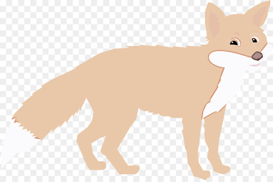 Fennec Fox，Zorro Rojo PNG