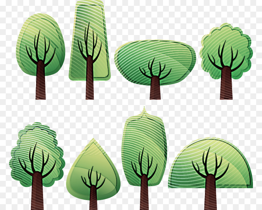 Verde，Árbol PNG