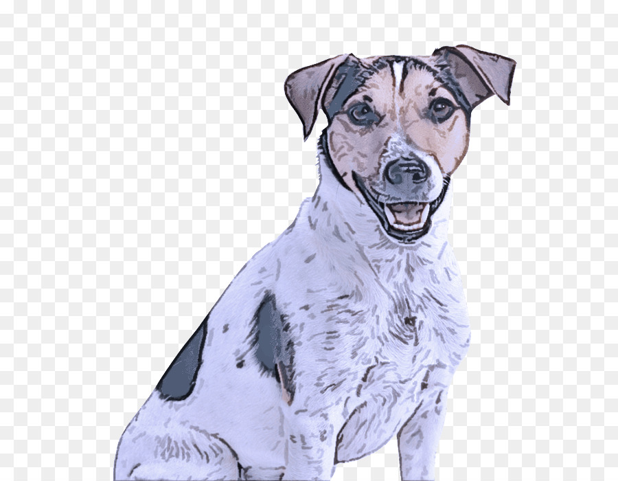 Perro，Raza De Perro PNG