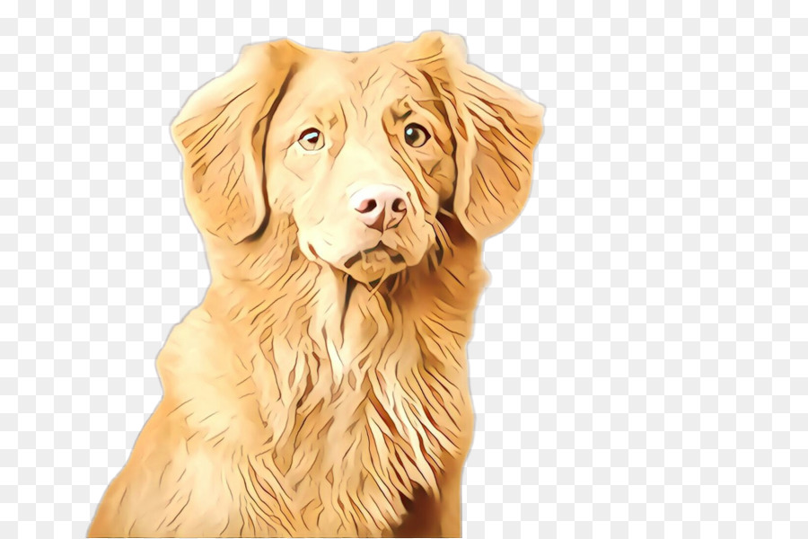 Perro，Raza De Perro PNG