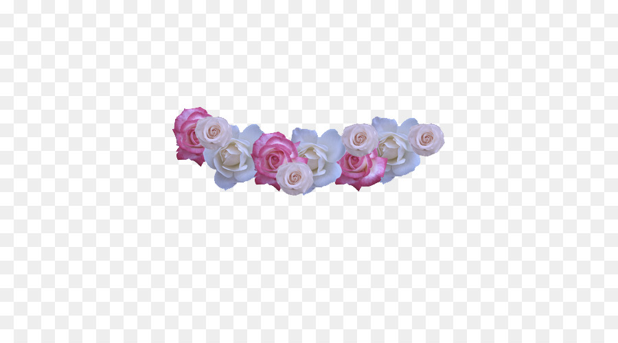 Rosa，Violeta PNG