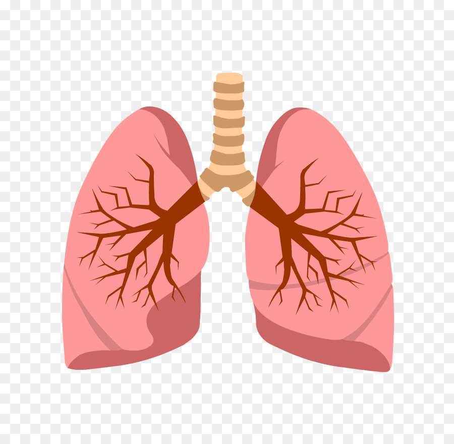 Pulmones，Salud PNG