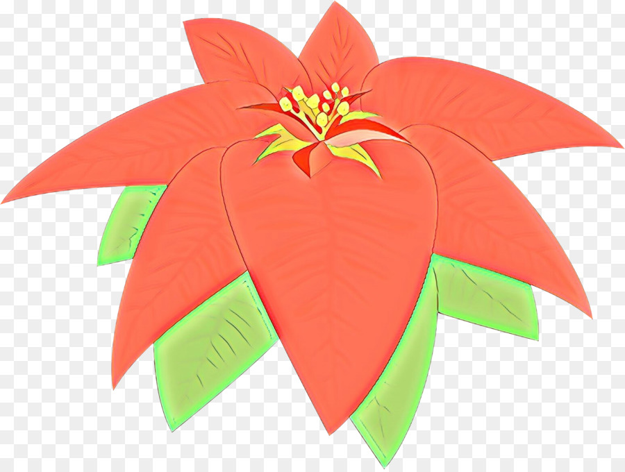 Flor De Pascua，Rojo PNG