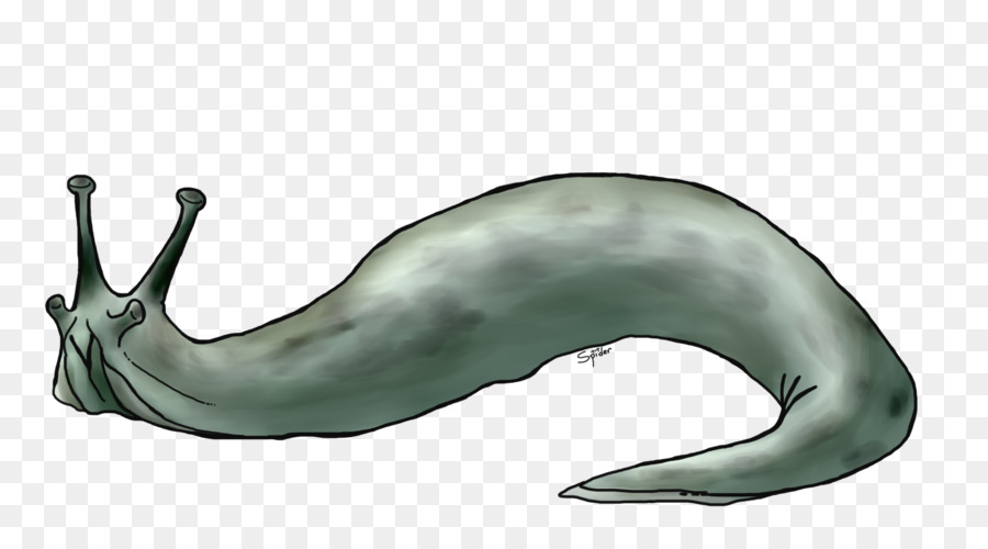 De Mamíferos Marinos，La Ballena Azul PNG