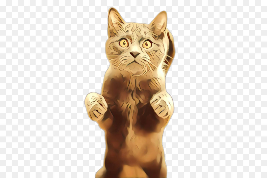 Gato，De Pequeñas A Medianas Gatos PNG