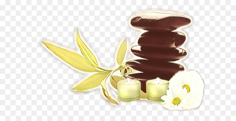 Chocolate，Planta PNG