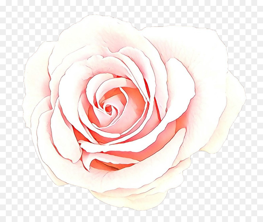 Blanco，Rosa PNG