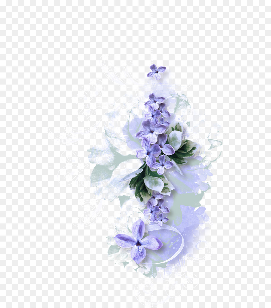 Violeta，Flor PNG