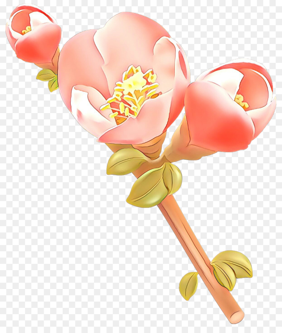 Flor Rosa，Florecer PNG