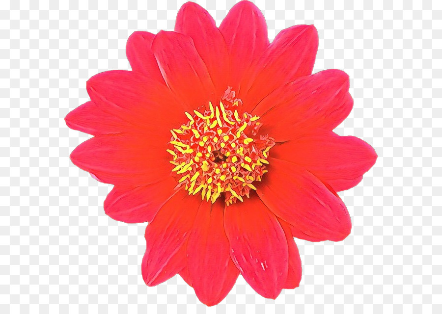 Flor，La Floración De La Planta PNG