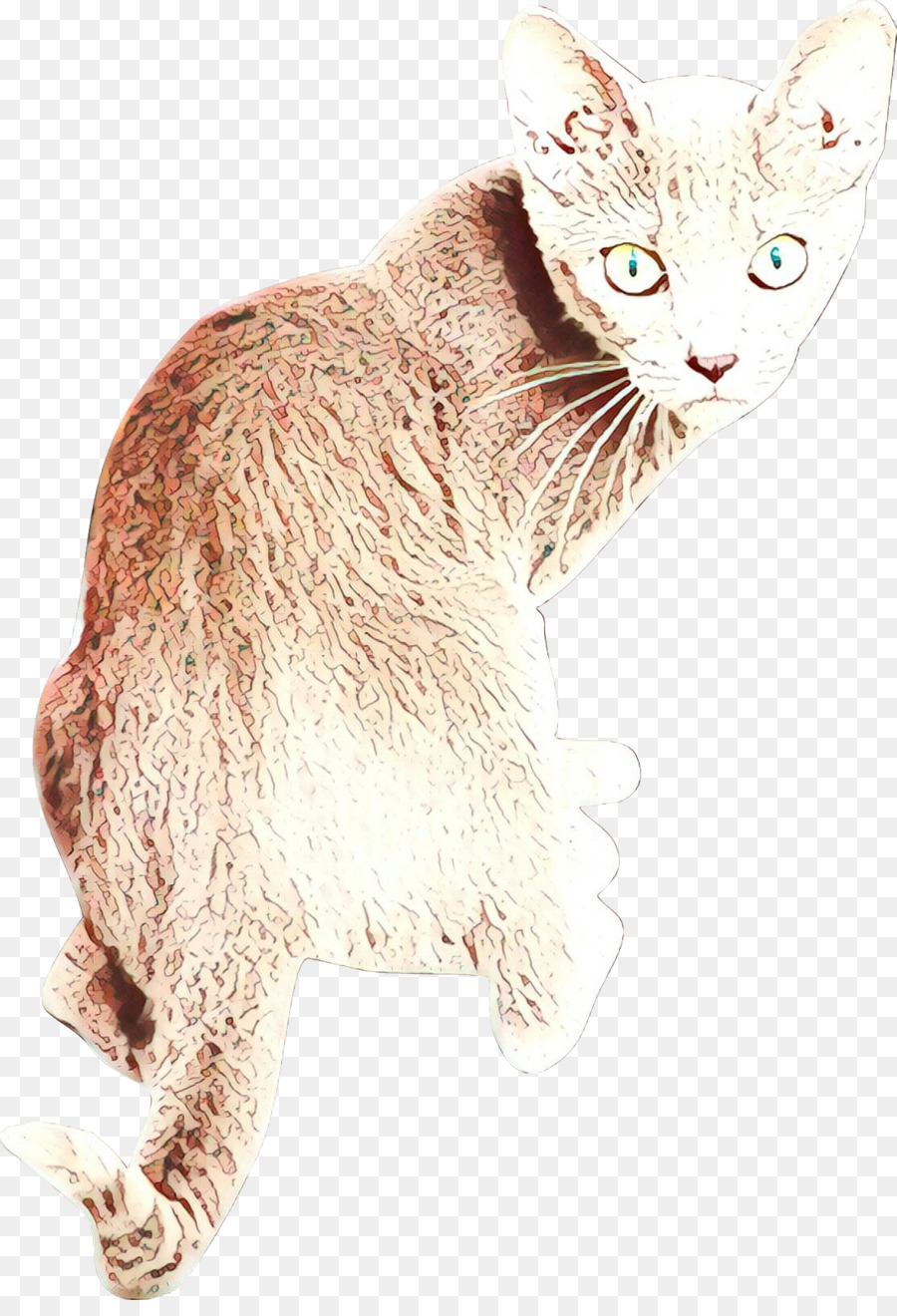 Gato，De Pequeñas A Medianas Gatos PNG