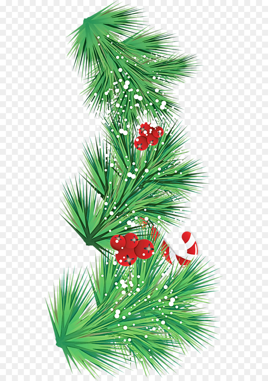 Amarillo Fir，Árbol PNG