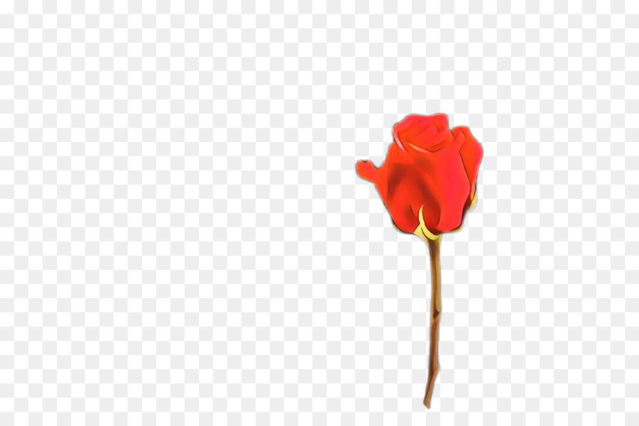 Rosa Roja，Planta PNG