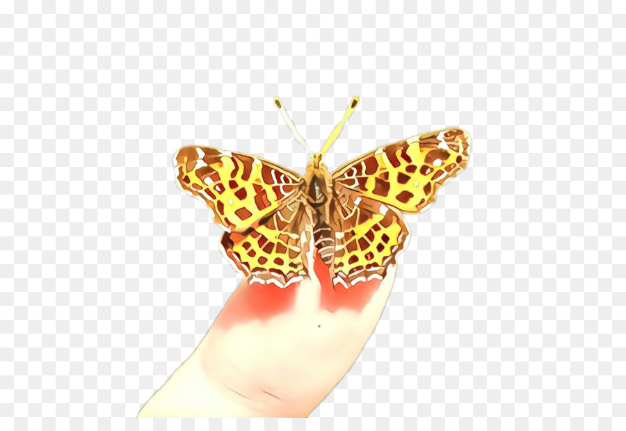 Las Polillas Y Las Mariposas，Mariposa PNG