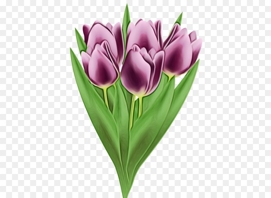 Tulipanes Rosados，Ramo PNG