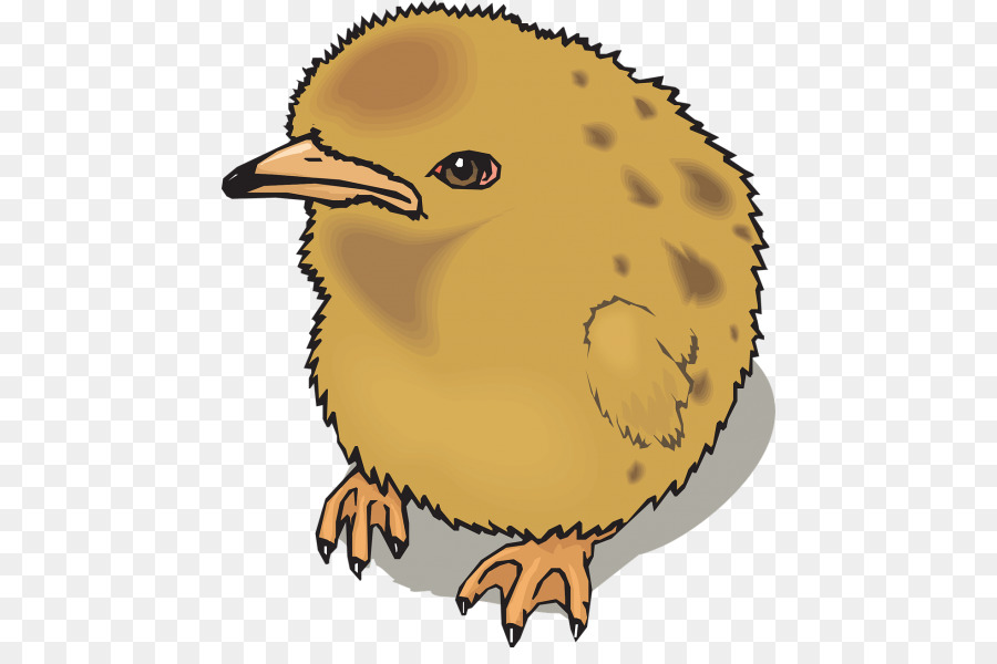 Pico，Aves PNG