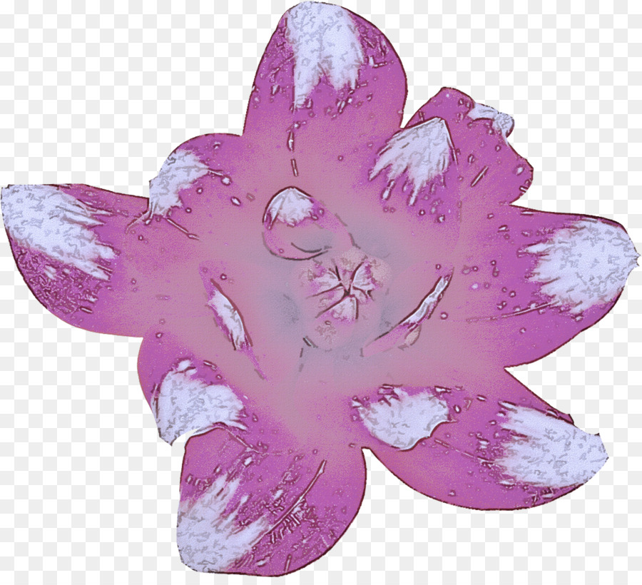 Violeta，Morado PNG