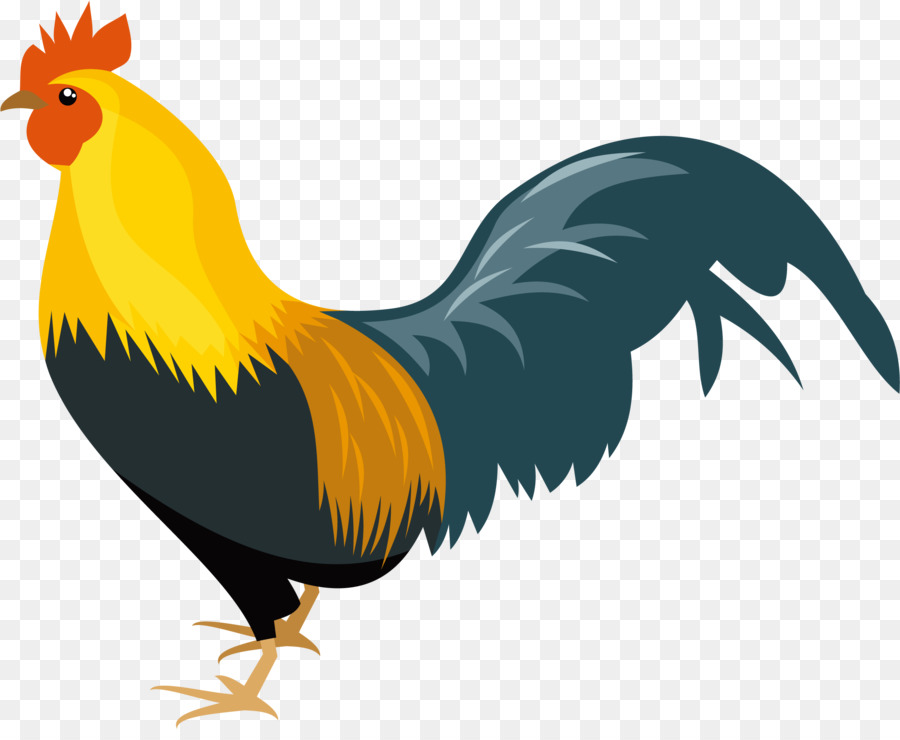 Pollo，Aves PNG