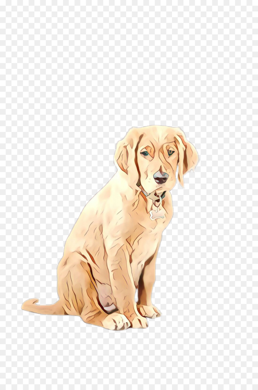 Perro，Raza De Perro PNG