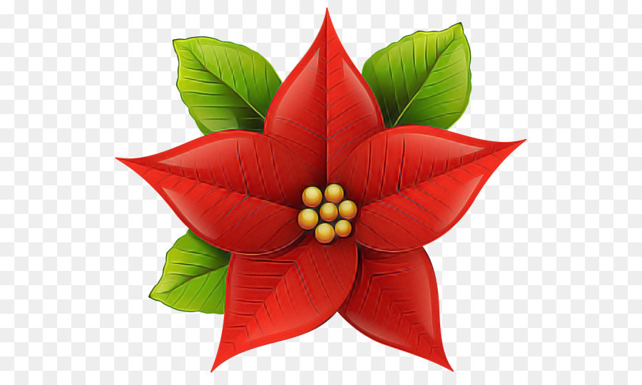 Flor，Hoja PNG